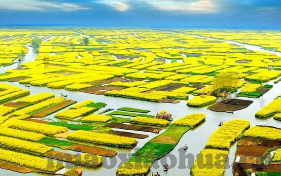 大象传媒伊甸-探索大象传媒与伊甸园的创意交融，构建数字时代的文化绿洲