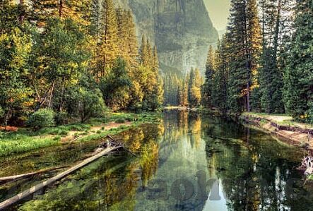 麻豆糖心vlog-麻豆糖心，Vlog里的甜蜜与创新风采