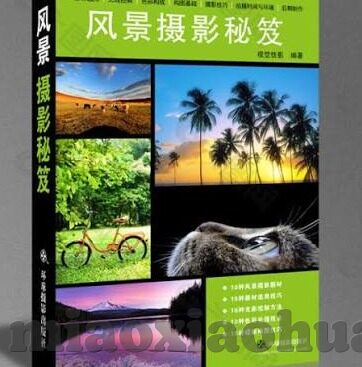 亚洲人妻-亚洲人妻，文化、身份与情感交织的细腻画卷